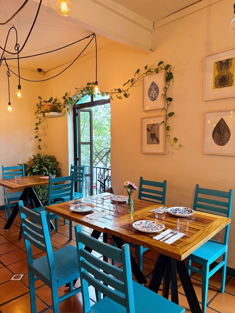 Vegetarian lunch at restaurant La Olla in Oaxaca