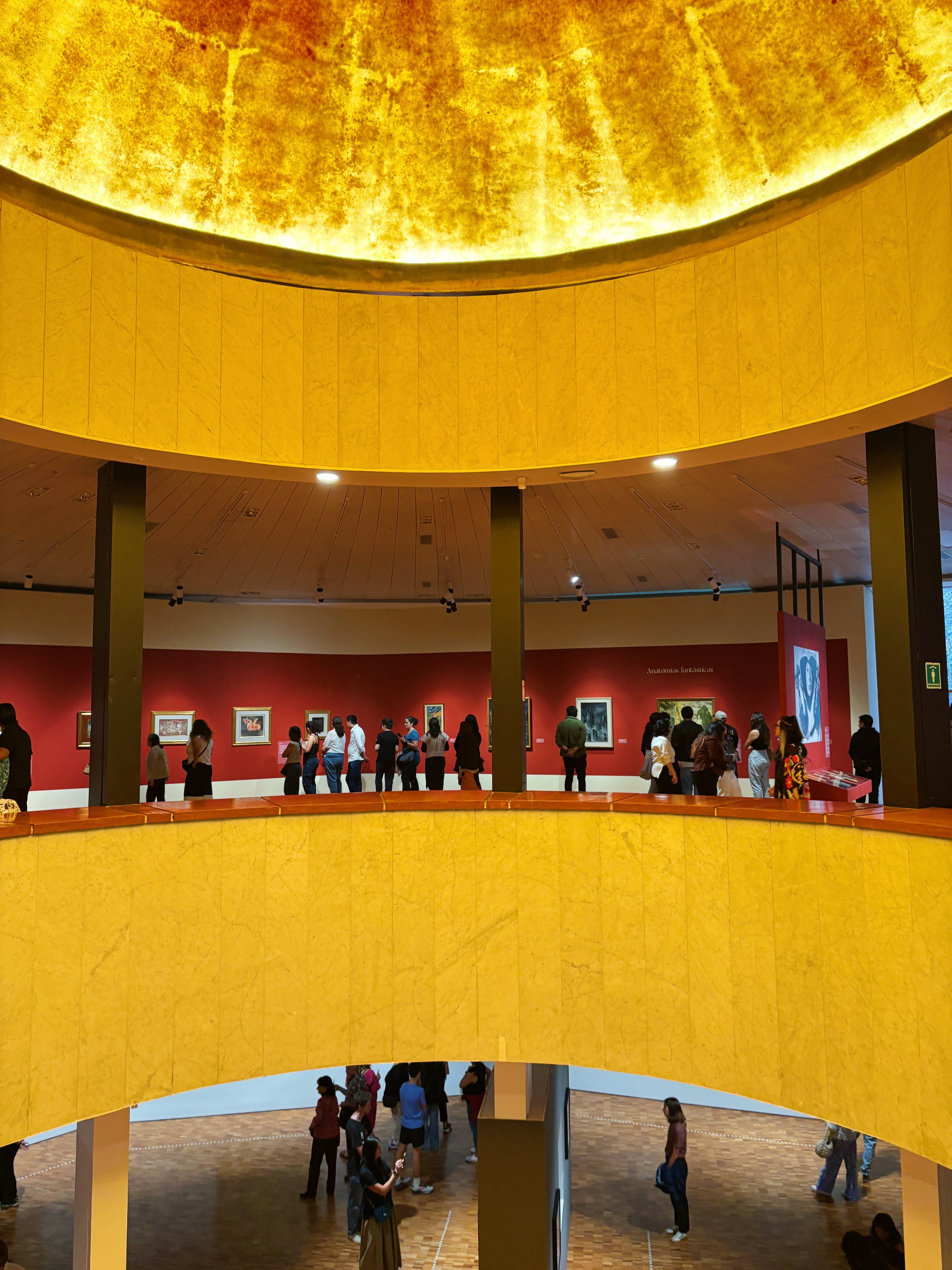 Museo de Arte Moderno