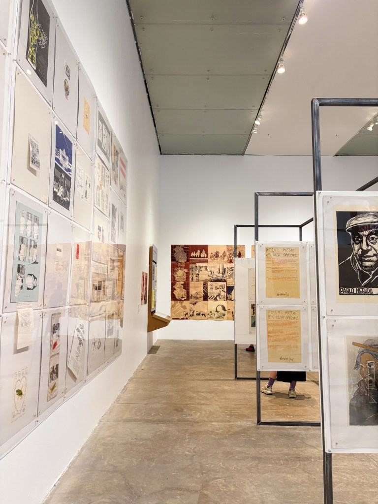 Museo Universitario Arte Contemporáneo