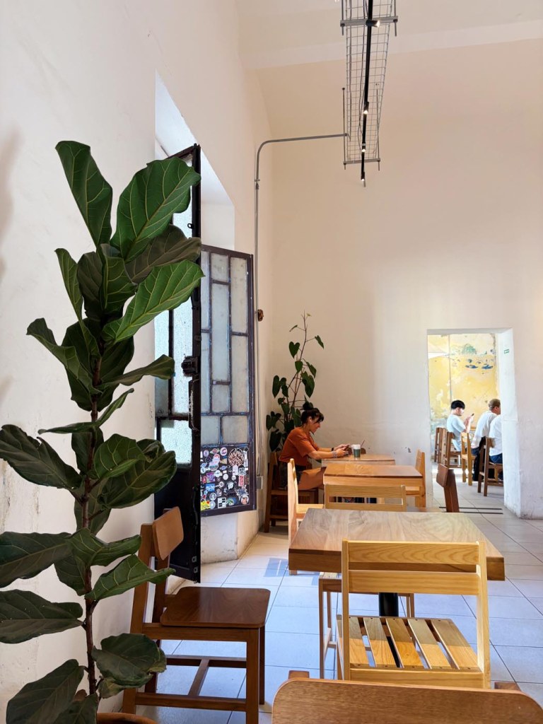 ONNNO in Oaxaca
