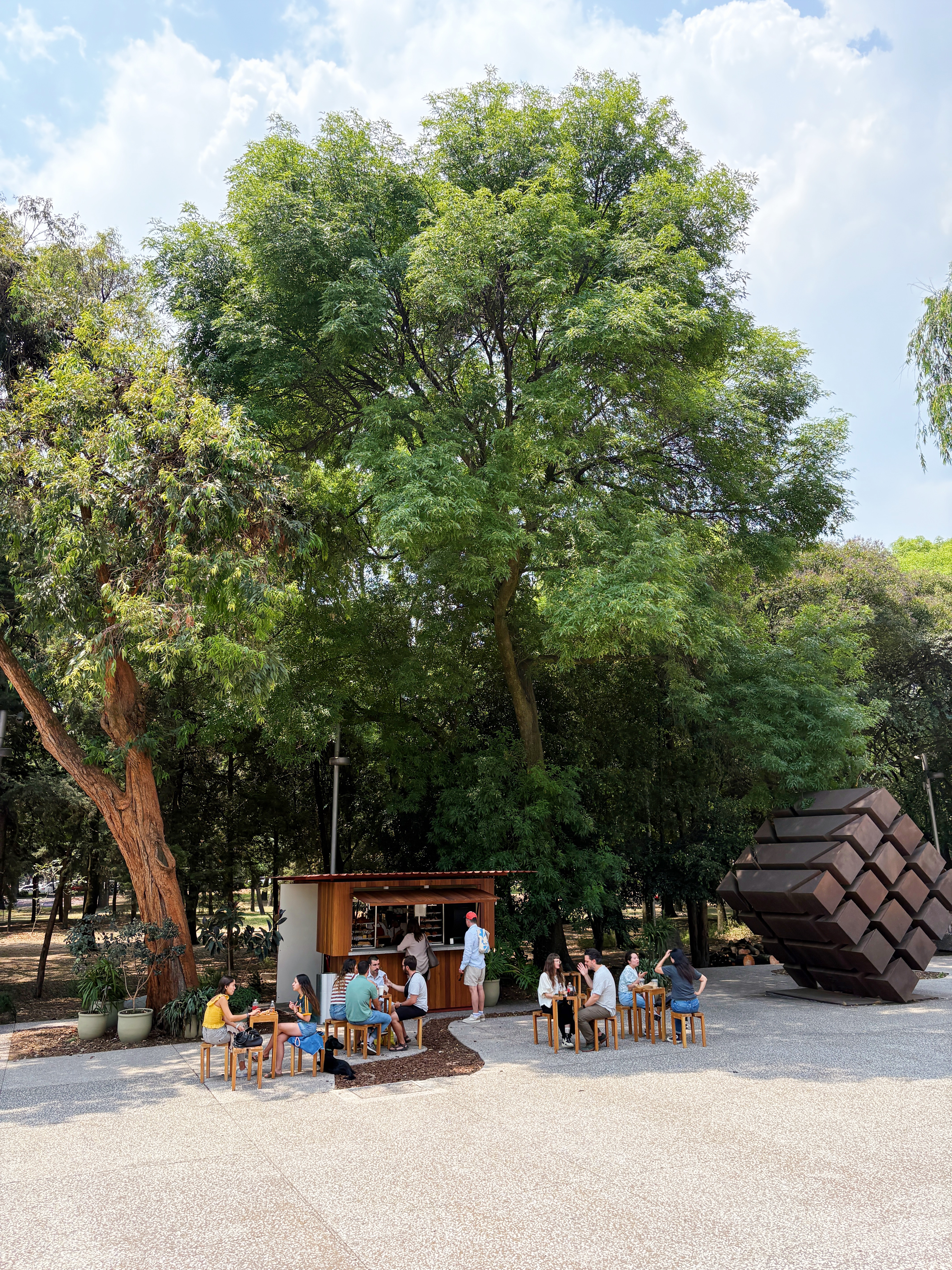 Odette Cafe at Tamayo Museum in Mexico City
