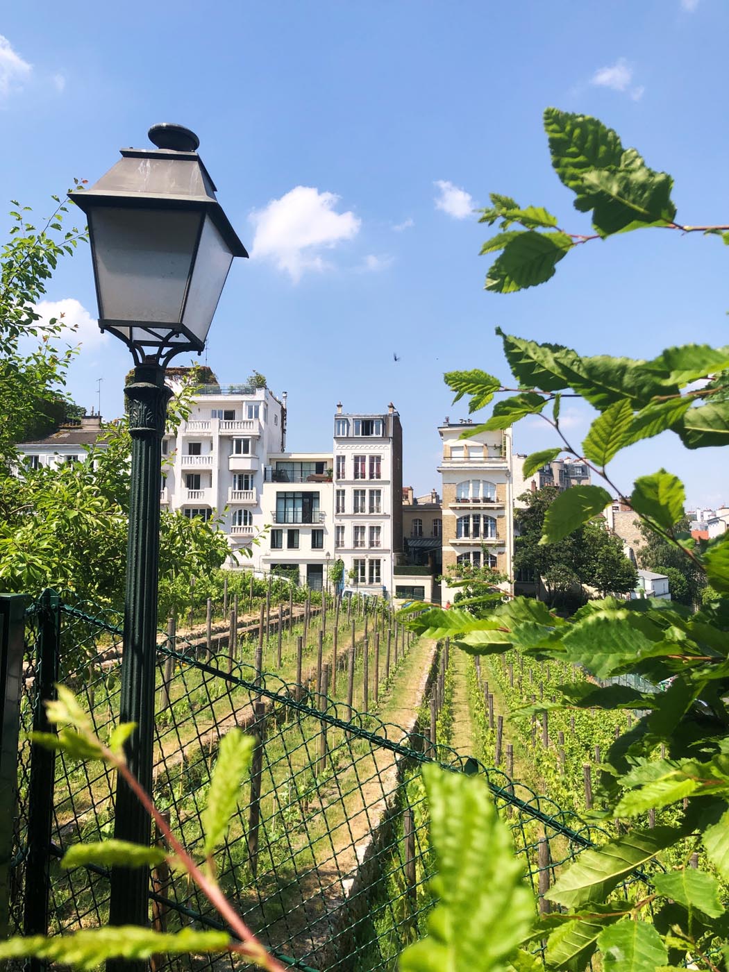 How to spend a morning in Montmartre, Paris